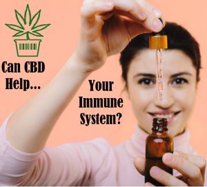 Mota Ventures launching immune support CBD line 1