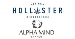 Hollister Biosciences closes acquisition of AlphaMind Brands Inc. 1