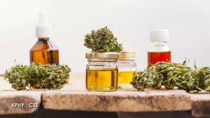 XPhyto Therapeutics signs agreement for cannabis-infused beverages with Oettinger 1