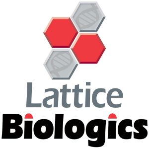 Lattice Biologics coverts debt into equity 1
