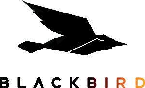 Former Google executive joins Blackbird board