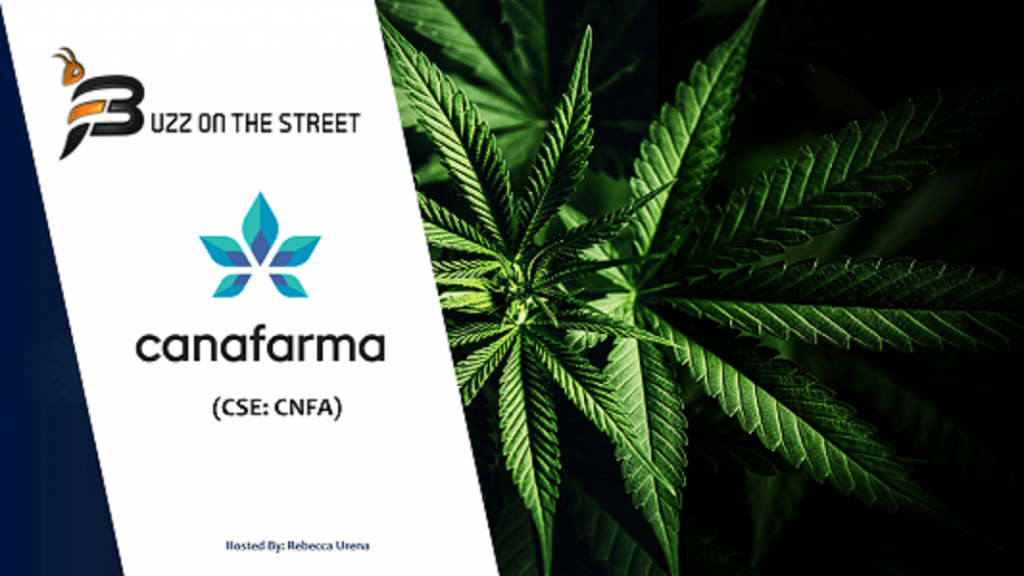 Canafarma announces plans for hemp oil infused, center-filled chewing gum 1