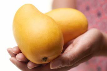 PIA cuts air cargo tariff to facilitate mango export 1