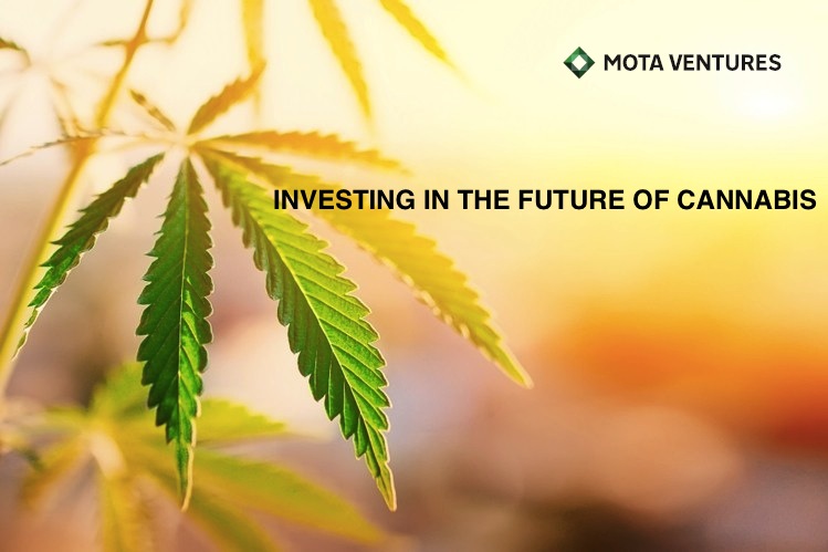 Mota Ventures announces $5 million non-brokered unit share offering 1