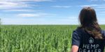 Australian Primary Hemp to supply hemp seeds to Annex Foods for 2 years