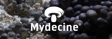 Mydecine forms special committee for the spin out of US related assets 1