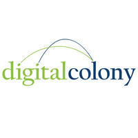 Digital Colony appoints Liam Stewart as Managing Director and Chief Operating Officer 1