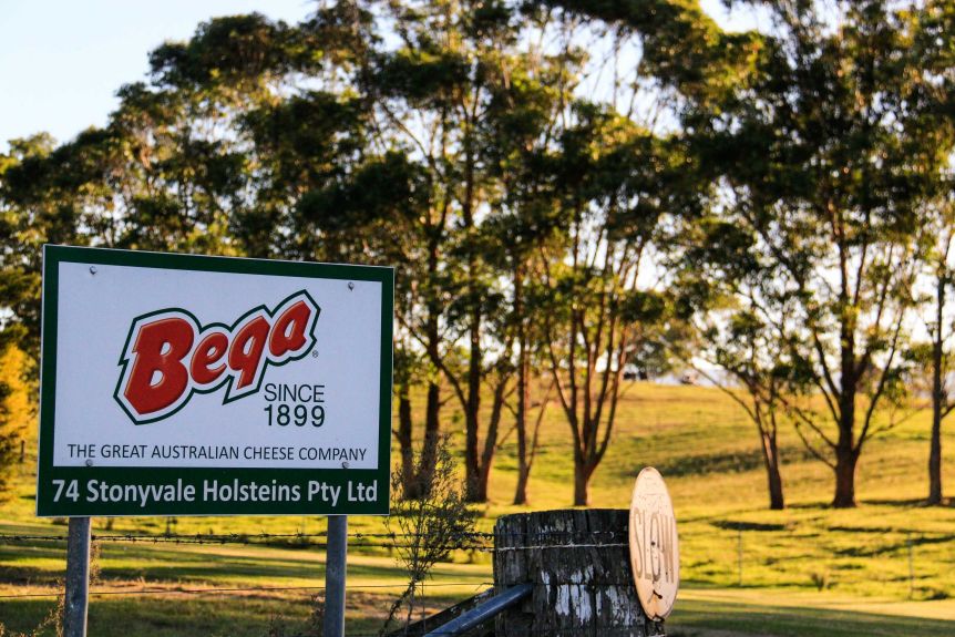 Bega Cheese acquires Lion Dairy & Drinks (LD&D) 1