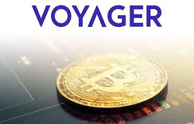 Voyager Digital reaches $200 million in assets under management 1