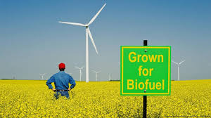 Z Energy welcomes government biofuels policy announcement 1