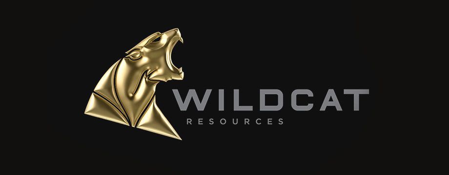 Wildcat Resources Limited appoints Sam Ekins as Chief Executive Officer 1