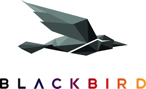 Blackbird launches core video technology licensing solution