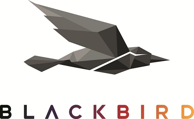 Blackbird wins 18 more US TV Stations with TownNews 1