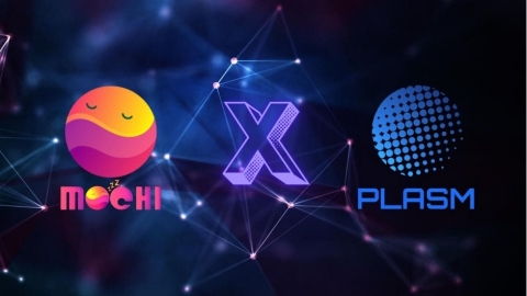 Mochi.Market partners with Plasm Network 1