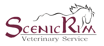 Apiam Animal Health acquires Scenic Rim Vets in a $16 million deal 1