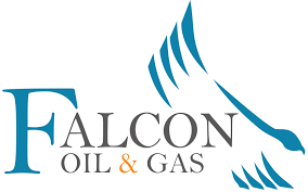 Falcon Oil & Gas appoints Joe Nally as non-executive chairman