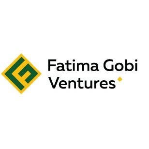 UK’s CDC backs Fatima Gobi Ventures’ Pakistan-focused fund