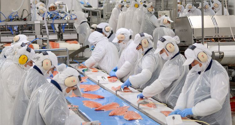 Close the Loop acquires seafood packaging firm, Oceanic Agencies for $4.0mn