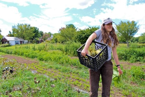 Sustainable Farmland Trust announces £200 million IPO