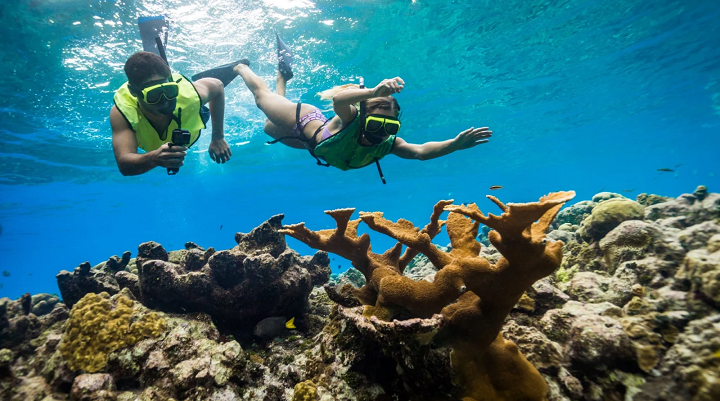 Go snorkeling or diving