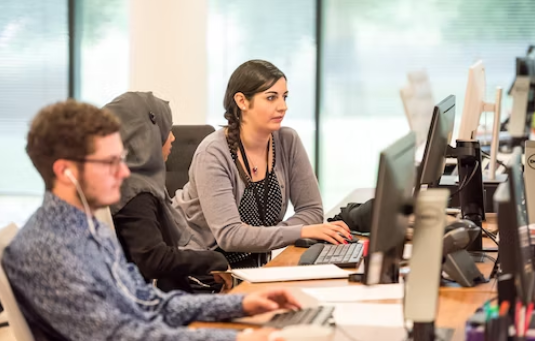 staff at work in office