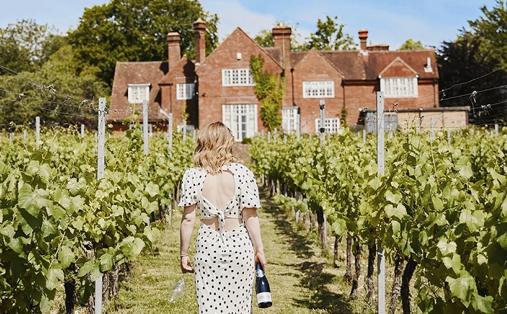 Berry Bros. & Rudd and Atlantis Wine Holdings to take over Hambledon Vineyard