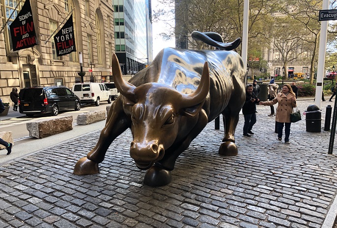 New York Bull