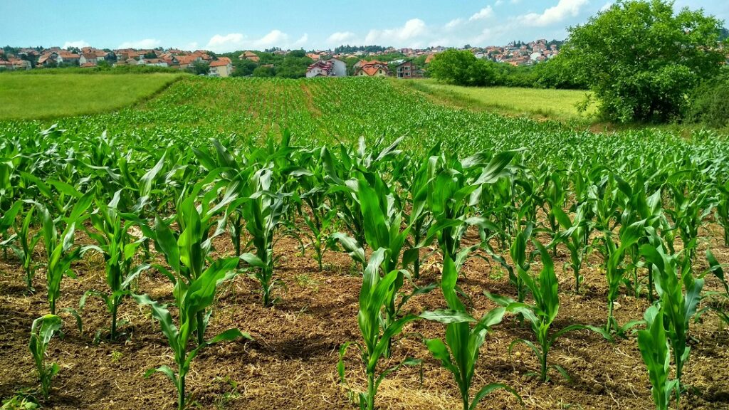 agricultural companies, Duxton Farms , merger,