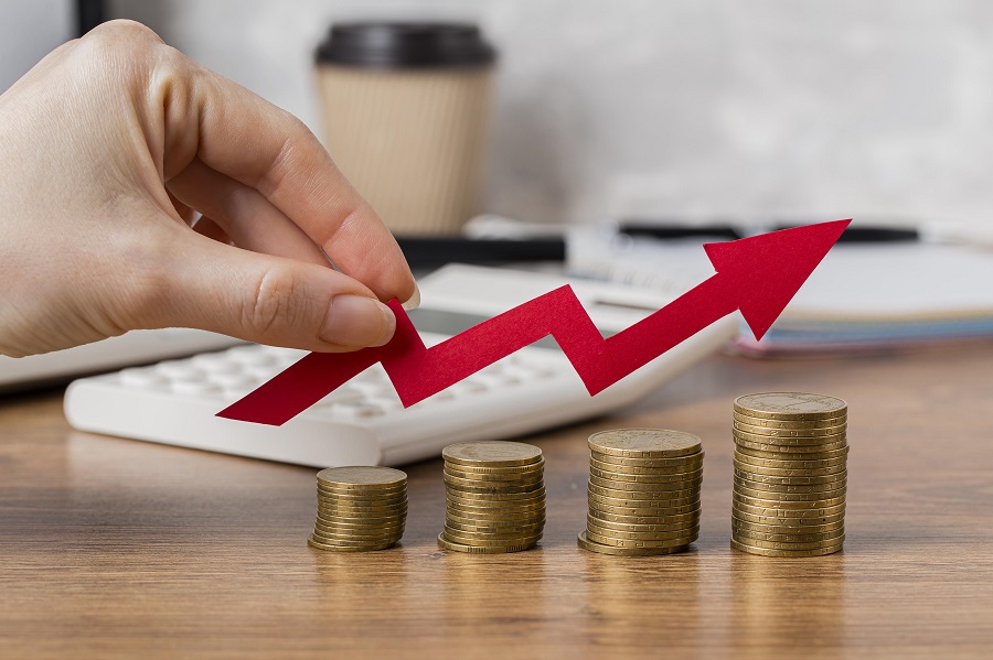 profit and earnings growth